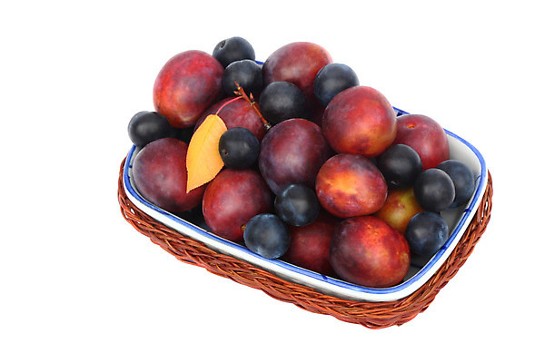 포토 JPG 해외이미지 과일 디저트 건강 요리 사람없음 바구니 맛 큼 흰배경 원예 소재 자두 고립 숙성 해외202004 해외포토 음식 백그라운드 컨셉 취미 흰색 크기 파일형식 이미지허브