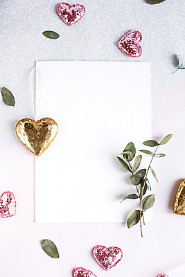 포토 JPG 해외이미지 꽃 종이 프레임 선물 사람없음 장미 나뭇가지 목업 해외202004 해외포토 나무 식물 파일형식 이미지허브