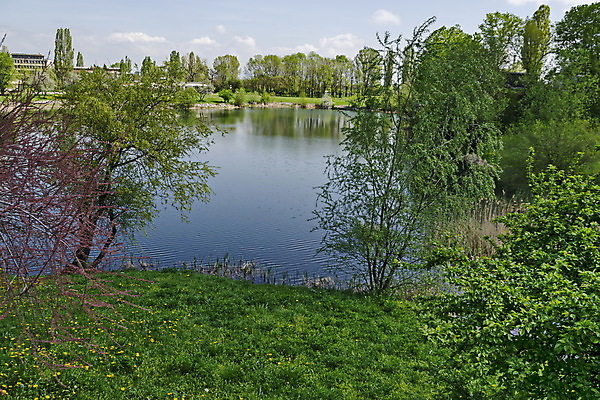 포토 JPG 해외이미지 나무 계절 꽃 호수 여행 백그라운드 잎 자연 하늘 새로움 풍경 사람없음 초록색 물 파란색 햇빛 반사 평화 맑음 봄 나뭇가지 연못 신선 오픈 지역 내추럴 강렬 불가리아 해외202004 해외포토 자연요소 식물 컬러 컨셉 날씨 태양 생태계 파일형식 남유럽 이미지허브