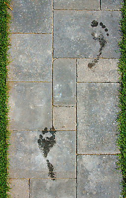 포토 JPG 해외이미지 맨발 발 사람없음 물 회색 젖음 인쇄 발자국 단계 양발 해외202004 해외포토 자연요소 컬러 자국 신체부위 파일형식 이미지허브