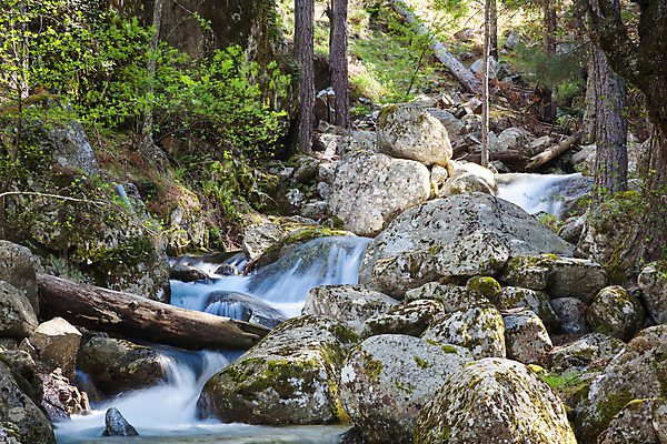 포토 JPG 해외이미지 유럽 섬 여행 자국 자연 하늘 산 풍경 사람없음 야외 초록색 파란색 강 걷기 계곡 프랑스 개울 오솔길 지중해 언덕 내추럴 프랑스어 코르시카 해외202004 해외포토 문자 나라 길 바다 컬러 모션 생태계 파일형식 이미지허브
