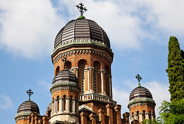 포토 JPG 해외이미지 나무 전통 외관 교육 꽃 벽 조각 건축양식 하늘 유물 벽돌 사람없음 야외 건물 초록색 파란색 탑 중세 역사 대학교 과거 천연기념물 옛날 우크라이나 해외202004 해외포토 식물 건축물 건축 유럽 컬러 컨셉 학교 파일형식 이미지허브