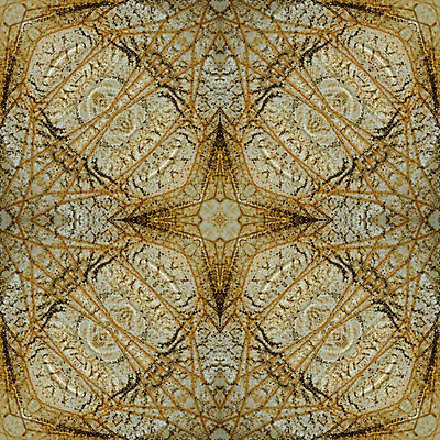 포토 JPG 해외이미지 동물 나비 곤충 백그라운드 패턴 날개 추상 사람없음 컬러풀 벌레 묘사 질감 해외202004 해외포토 컬러 무늬 파일형식 이미지허브