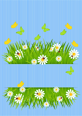 포토 JPG 해외이미지 식물 꽃 행복 나비 곤충 백그라운드 잎 자연 부활절 사람없음 빨간색 초록색 노란색 정원 봄 원예 무당벌레 엘리먼트 캐모마일 해외202004 해외포토 동물 계절 기념일 감정 컬러 취미 허브 생태계 파일형식 이미지허브