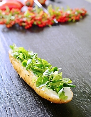 포토 JPG 해외이미지 음식 빵 조각 다이어트 건강 육류 사람없음 초록색 식사 샐러드 흰색 신선 맛 아침식사 롤 해외202004 해외포토 컬러 컨셉 식재료 파일형식 이미지허브