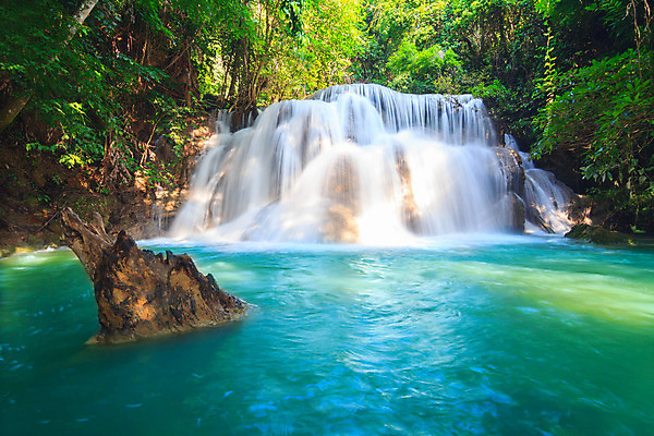 포토 JPG 해외이미지 나무 식물 공원 백그라운드 잎 모션 태국 자연 휴가 휴식 국립공원 풍경 사람없음 목재 초록색 물 강 수영 봄 활발 폭포 젖음 흐름 성장 가을 신선 개울 숲 시원함 순수 즐거움 천국 이국적 파라다이스 해외202004 해외포토 자연요소 계절 공공시설 감정 아시아 컬러 컨셉 재료 수상스포츠 생태계 파일형식 이미지허브
