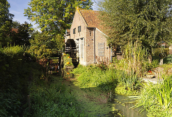 포토 JPG 해외이미지 나무 자연 아침 주택 풍경 사람없음 건물 강 평화 침묵 시골 바퀴 개울 네덜란드 기념물 천연기념물 해외202004 해외포토 주간 식물 건축물 유럽 컨셉 소리 생태계 파일형식 이미지허브