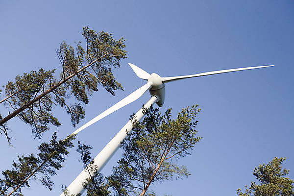 포토 JPG 해외이미지 날개 하늘 바람 핀란드 풍경 사람없음 여름 일출 새벽 재활용 풍차 발전소 에너지 시골 숲 생태계 방앗간 해외202004 해외포토 자연요소 계절 날씨 북유럽 노을 친환경 파일형식 이미지허브