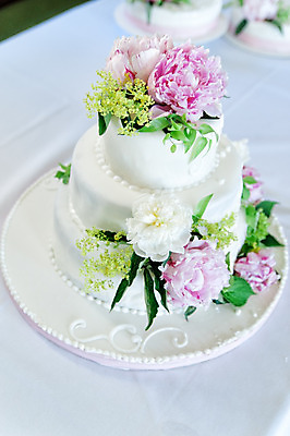 포토 JPG 해외이미지 전통 꽃 음식 분홍색 꽃다발 결혼 결혼식 디저트 실내 사랑 이벤트 사람없음 장식 세로 장미 파티 케이크 요식업 초콜릿 빵집 흰색 축하 우아함 달콤 맛 설탕 굽기 크림 해외202004 해외포토 식물 감정 산업 컬러 컨셉 내부 상점 구이 파일형식 이미지허브