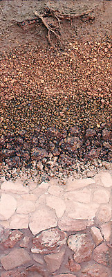 포토 JPG 해외이미지 식물 편집 디자인 지구 모래 과학 밭 농업 부분 자연 표면 사람없음 환경 정원 흙 껍질 거친 땅 유기농 원예 질감 뿌리 먼지 지형 점토 지역 진흙 지하 층 내추럴 땅바닥 지리 지질학 해외202004 해외포토 웰빙 교육 산업 바닥 취미 생태계 파일형식 이미지허브