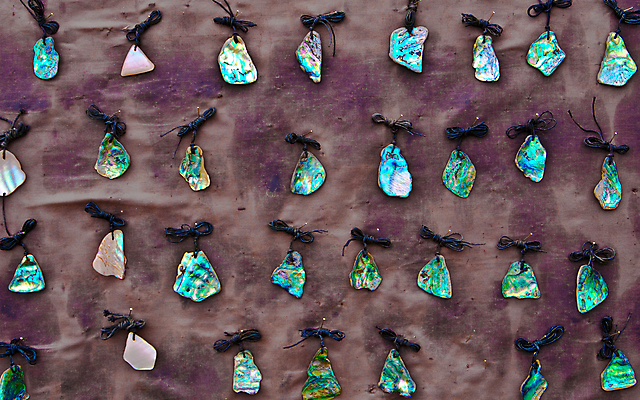 포토 JPG 해외이미지 바다 백그라운드 무지개 패턴 곡선 자연 추상 새로움 생물 갑각류 사람없음 장식 초록색 파란색 빛 컬러풀 세일 검은색 활발 껍질 고급 보석 해산물 질감 내추럴 고립 세련 해외202004 해외포토 자연요소 동물 선 컬러 컨셉 무늬 광석 생태계 파일형식 이미지허브