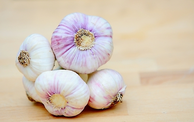 포토 JPG 해외이미지 식물 음식 줄기 백그라운드 농업 채소 재료 전구 건강 마늘 사람없음 목재 초록색 흰색 신선 양념 맛 다발 묶기 허브 향신료 유기농 날것 향 내추럴 채식주의자 해외202004 해외포토 나무 웰빙 산업 컬러 컨셉 모션 채식 향미료 파일형식 이미지허브