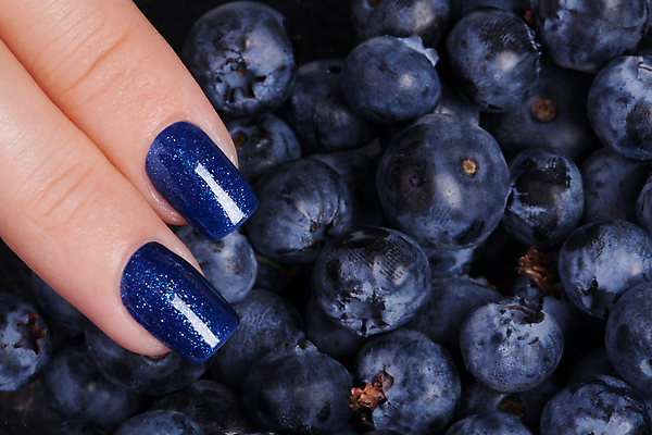 포토 JPG 해외이미지 손 열매 손가락 사람없음 유행 화장품 덮개 못 손톱관리 손톱 블루베리 위생관리 아크릴 해외202004 해외포토 식물 과일 재질 관리 신체부위 뷰티 뚜껑 공구 네일아트 파일형식 이미지허브