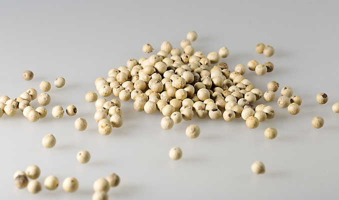 포토 JPG 해외이미지 음식 사람없음 흰색 양념 닫기 향신료 후추 해외202004 해외포토 컬러 모션 향미료 파일형식 이미지허브