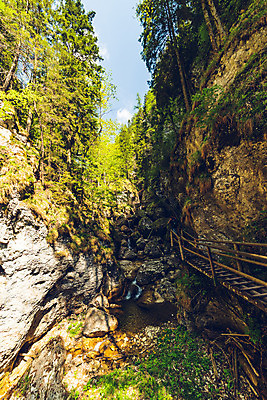 포토 JPG 해외이미지 나무 공원 여행 자연 휴가 산 사람 풍경 사람없음 야외 초록색 물 여름 강 평화 골짜기 봄 폭포 하이킹 흐름 바위 점 개울 황무지 오스트리아 숲 오르기 알프스 내추럴 해외202004 해외포토 자연요소 식물 계절 공공시설 유럽 컬러 컨셉 모션 레저 돌_바위 생태계 파일형식 이미지허브