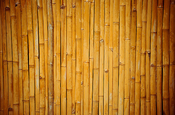 포토 JPG 해외이미지 식물 전통 라이프스타일 디자인 문화 벽 여행 백그라운드 패턴 자연 벽지 바닥 주택 미술 동양인 사람없음 목재 장식 울타리 상자 갈색 바구니 일본 중국 시골 닫기 대나무 묘사 유기농 시골집 질감 복고 망사 밀짚 짜임 내추럴 등나무 옛날 짜기 핸드메이드 해외202004 해외포토 나무 웰빙 아시아 컬러 무늬 재료 모션 문화예술 인종 건물 생활 담장 직물 짚 생태계 파일형식 이미지허브