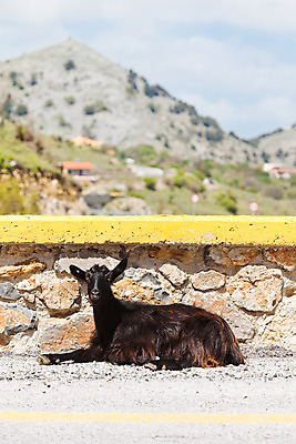 포토 JPG 해외이미지 식물 도로 여행 자연 휴가 휴식 산 풍경 사람없음 여름 햇빛 골짜기 맑음 침묵 자유 바위 시골 고속도로 그리스 엽서 천국 그리스인 길가 파라다이스 해외202004 해외포토 서양인 계절 유럽 길 컨셉 교통시설 날씨 태양 소리 돌_바위 편지 생태계 파일형식 이미지허브