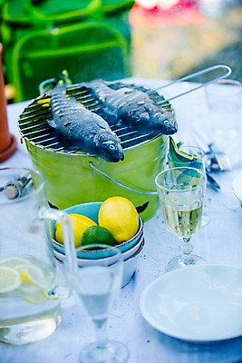 포토 JPG 주간 접시 탁자 사람없음 야외 파티 정원 그릴 레몬 즐거움 생선구이 국내포토 자연요소 식기 감정 가구 과일 주방용품 이벤트 구이 생선요리 파일형식