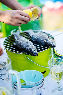 포토 JPG 주간 서양인 외국인 손 한명 20대 성인 야외 신체부위 파티 정원 그릴 레몬 즐거움 생선구이 성인만 국내포토 자연요소 1 감정 과일 주방용품 사람 인종 이벤트 청년 구이 생선요리 파일형식