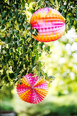 포토 JPG 주간 나무 사람없음 야외 장식 정원 국내포토 자연요소 식물 파일형식