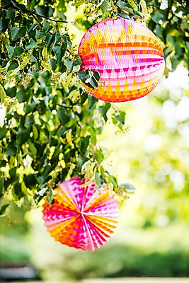 포토 JPG 주간 나무 사람없음 야외 장식 정원 국내포토 자연요소 식물 파일형식