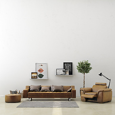 PSD 나무 화분 액자 거실 선반 실내 사람없음 컴퓨터그래픽 인테리어 소파 3D 카펫 스탠드 디지털합성 가죽소파 디지털아트 가상현실 식물 디자인 가구 의자 조명 내부 그래픽 파일형식