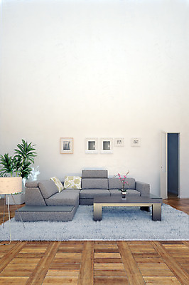 PSD 화분 액자 쿠션 거실 탁자 실내 사람없음 컴퓨터그래픽 인테리어 소파 3D 문 카펫 디지털합성 디지털아트 가상현실 디자인 가구 의자 내부 그래픽 파일형식