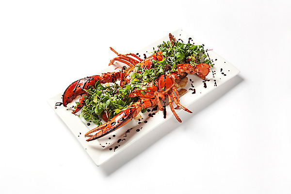 포토 JPG 스튜디오촬영 접시 음식 서양음식 실내 사람없음 샐러드 소스 구이 오브젝트 랍스터구이 국내포토 식기 내부 양념 파일형식