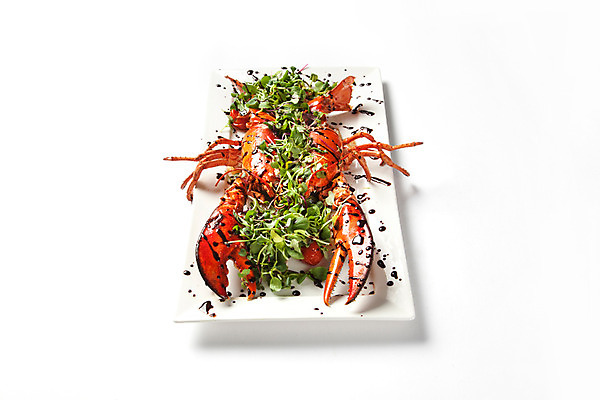 포토 JPG 스튜디오촬영 접시 음식 서양음식 실내 사람없음 샐러드 소스 구이 오브젝트 랍스터구이 국내포토 식기 내부 양념 파일형식