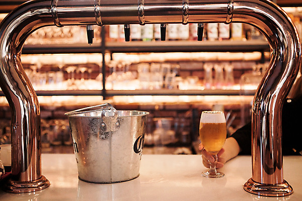 포토 JPG 손 맥주 생맥주 실내 한명 사람 신체부위 선술집 양동이 맥주잔 국내포토 1 술잔 주류 내부 술집 파일형식