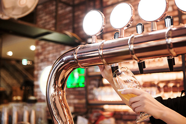 포토 JPG 손 맥주 생맥주 실내 한명 사람 신체부위 선술집 붓기 맥주잔 국내포토 1 술잔 모션 주류 내부 술집 파일형식