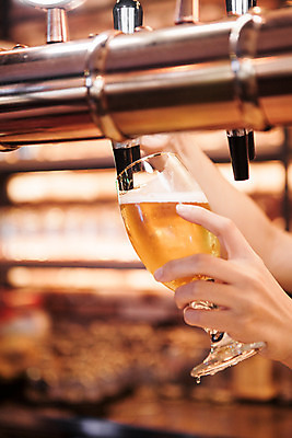 포토 JPG 손 맥주 생맥주 실내 한명 사람 신체부위 선술집 붓기 맥주잔 국내포토 1 술잔 모션 주류 내부 술집 파일형식