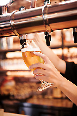 포토 JPG 손 맥주 생맥주 실내 한명 사람 신체부위 선술집 붓기 맥주잔 국내포토 1 술잔 모션 주류 내부 술집 파일형식