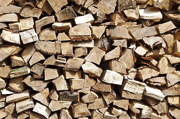 포토 JPG 해외이미지 나무 겨울 불 건조 사람없음 목재 초록색 쌓기 재활용 에너지 뜨거움 숲 장작 자르기 통나무 연료 유지 수목 화상 개조 해외202004 해외포토 자연요소 식물 계절 컬러 재료 모션 상처 친환경 파일형식 이미지허브