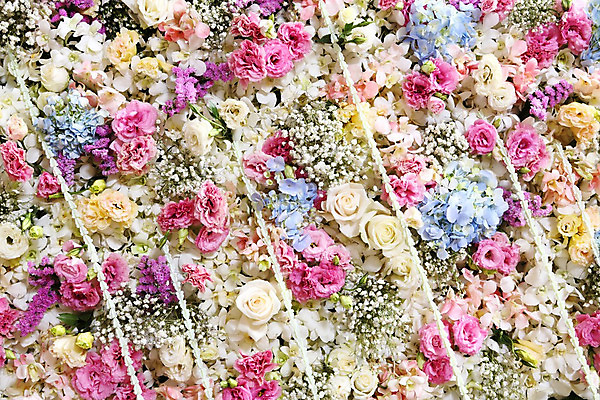 포토 JPG 해외이미지 전통 디자인 계절 기념일 꽃잎 꽃 분홍색 꽃다발 결혼 잎 꽃무늬 자연 결혼식 아이디어 발렌타인데이 사랑 사람없음 장식 초록색 컬러풀 장미 노란색 벚꽃 흰색 축하 신선 난초 백합 다발 배열 꽃집 심볼 카네이션 질감 열정 엘리먼트 파스텔톤 많음 해외202004 해외포토 식물 감정 컬러 컨셉 무늬 데이이벤트 이벤트 상점 생태계 파일형식 이미지허브