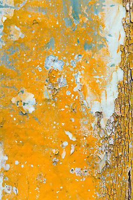 포토 JPG 해외이미지 나무 식물 디자인 백그라운드 무지개 패턴 오렌지 자연 벽지 표면 날씨 추상 건조 사람없음 야외 목재 초록색 파란색 컬러풀 갈색 노란색 줄무늬 소나무 거친 보호 매끈함 숲 낟알 피부 묘사 질감 나무껍질 내추럴 그런지 세피아 옛날 유칼립투스 잇몸 노화 해외202004 해외포토 자연요소 컬러 컨셉 무늬 신체 과일 재료 촬영기법 신체부위 껍질 감각 생태계 파일형식 이미지허브