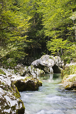 포토 JPG 해외이미지 자연 풍경 사람없음 목재 초록색 물 강 흐름 시골 개울 숲 암초 해외202004 해외포토 자연요소 나무 컬러 컨셉 재료 생태계 파일형식 이미지허브