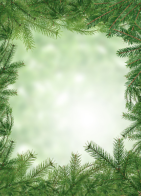 포토 JPG 해외이미지 나무 백그라운드 크리스마스장식 크리스마스 겨울 자연 휴가 새해 크리스마스카드 사람없음 장식 초록색 나뭇가지 축하 인사 숲 전나무 가문비나무 해외202004 해외포토 식물 계절 기념일 컬러 컨셉 카드_감사 예절 생태계 파일형식 이미지허브