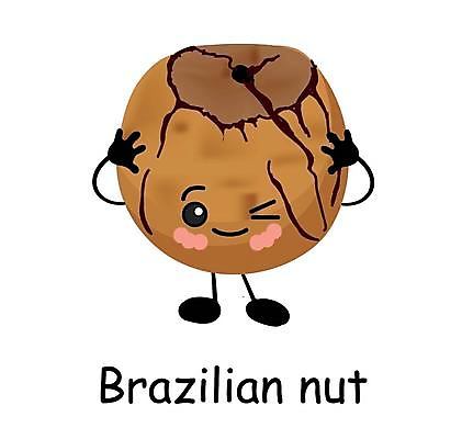 포토 JPG 해외이미지 식물 캐릭터 디자인 행복 감정 얼굴 음식 백그라운드 다이어트 일러스트 재료 자연 건강 씨앗 미소 사람없음 세트 갈색 견과류 흰색 표현 신선 그룹 만화 먹기 유기농 알맹이 날것 호두 브라질 내추럴 마스코트 숙성 식용 채식주의자 캐슈넛 피칸 많음 브라질사람 해외202004 해외포토 웰빙 컬러 컨셉 모션 표정 신체부위 남아메리카 생태계 채식 파일형식 이미지허브