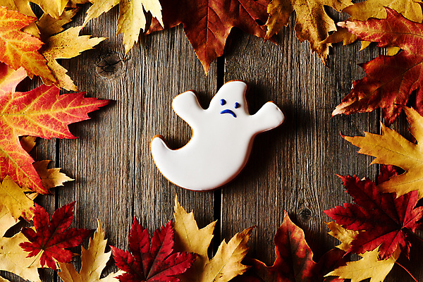 포토 JPG 해외이미지 디자인 백그라운드 단풍 디저트 미소 사람없음 장식 쿠키 할로윈 가을 달콤 유령 핸드메이드 호러 나무배경 해외202004 해외포토 계절 음식 잎 표정 맛 공포 파일형식 이미지허브