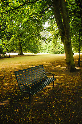 포토 JPG 해외이미지 나무 식물 공원 유럽 도로 길 가구 잎 벤치 의자 자연 휴식 스웨덴 앉기 풍경 잔디 사람없음 야외 목재 장식 초록색 여름 갈색 정원 침묵 봄 고독 오솔길 싱글 장면 내추럴 방법 스칸디나비아 혼자 해외202004 해외포토 계절 공공시설 감정 나라 컬러 생활용품 컨셉 재료 교통시설 모션 북유럽 소리 생태계 파일형식 이미지허브