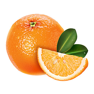 포토 JPG 해외이미지 잎 오렌지 과일 일러스트 사람없음 해외202004 해외포토 식물 파일형식 이미지허브