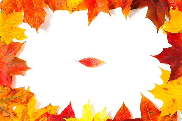 포토 JPG 해외이미지 나무 디자인 계절 백그라운드 단풍 잎 오렌지 텍스트 자연 추상 프레임 미술 사람없음 장식 빨간색 초록색 컬러풀 햇빛 태양 노란색 쪽지 가을 신용카드 메시지 황금 숲 9월 편지 10월 내추럴 카피스페이스 해외202004 해외포토 자연요소 식물 컬러 무늬 과일 문화예술 금융 공백 날짜 생태계 파일형식 이미지허브