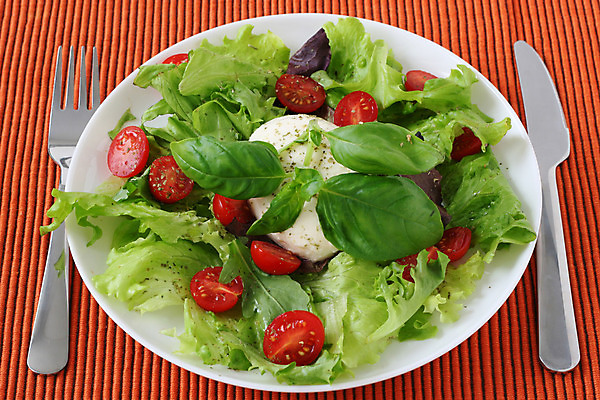 포토 JPG 해외이미지 접시 음식 포크 다이어트 토마토 채소 치즈 건강 식이요법 사람없음 빨간색 초록색 식사 저녁식사 샐러드 흰색 칼 상추 냅킨 바질 점심식사 모짜렐라치즈 해외202004 해외포토 식기 컬러 유제품 파일형식 이미지허브