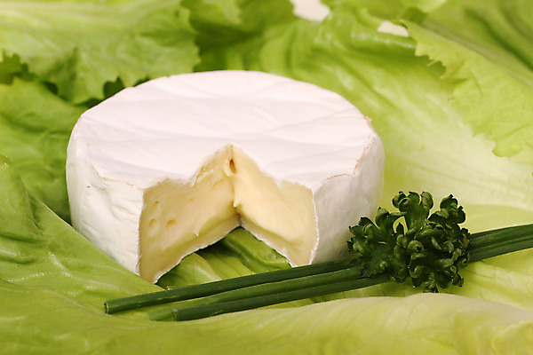 포토 JPG 해외이미지 음식 조각 치즈 유제품 파슬리 건강 사람없음 식사 저녁식사 샐러드 우유 아침식사 슬라이스 덩어리 쪽파 고립 칼슘 크림치즈 해외202004 해외포토 채소 파 파일형식 이미지허브