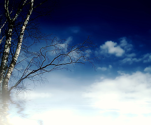 포토 JPG 해외이미지 나무 식물 구름 디자인 계절 실루엣 호수 백그라운드 잎 겨울 꽃무늬 일러스트 자연 하늘 아침 풍경 사람없음 야외 목재 초록색 물 여름 파란색 빛 태양 환경 검은색 어둠 봄 추위 안개 가을 흰색 나뭇가지 숲 러시아 자작나무 내추럴 해외202004 해외포토 주간 자연요소 꽃 유럽 컬러 무늬 재료 날씨 촬영기법 생태계 파일형식 이미지허브