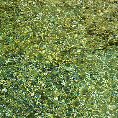 포토 JPG 해외이미지 선 이동 모션 자연 그림자 사람없음 야외 초록색 물 강 평화 환경 침묵 봄 촉촉함 흐름 에너지 추위 탐험 개울 황무지 급류 떨어짐 그늘 시원함 강의 당구 아래 생물학 에메랄드 암초 발견 내추럴 깊이 블러 해외202004 해외포토 자연요소 계절 교육 컬러 컨셉 구기 소리 젖음 보석 방향 생태계 위치 파일형식 이미지허브