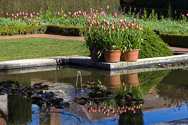 포토 JPG 해외이미지 나무 식물 계절 공원 꽃잎 꽃 문화 분홍색 여행 백그라운드 잎 꽃무늬 밭 오렌지 자연 하늘 풍경 사람없음 야외 장식 빨간색 초록색 물 여름 파란색 빛 컬러풀 햇빛 노란색 정원 맑음 보라색 봄 활발 튤립 벚꽃 흰색 연못 신선 개화 4월 원예 장면 내추럴 해외202004 해외포토 자연요소 공공시설 컬러 컨셉 무늬 농업 과일 날씨 취미 태양 날짜 생태계 파일형식 이미지허브