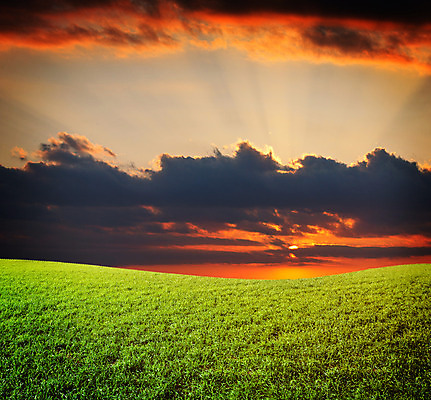 포토 JPG 해외이미지 구름 백그라운드 밭 자연 하늘 날씨 풍경 잔디 사람없음 야외 초록색 여름 파란색 빛 컬러풀 햇빛 태양 일출 맑음 일몰 봄 활발 광선 시골 신선 땅 내추럴 밭일 파라다이스 평야 수평선 해외202004 해외포토 자연요소 식물 계절 컬러 컨셉 농업 노을 생태계 파일형식 이미지허브