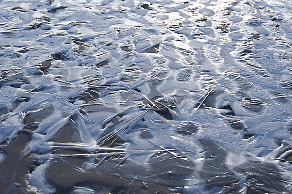 포토 JPG 해외이미지 모래 바다 섬 백그라운드 겨울 자연 독일 국립공원 풍경 사람없음 물 얼음 추위 모래언덕 묘사 질감 서리 해외202004 해외포토 자연요소 계절 공원 유럽 언덕 생태계 파일형식 이미지허브